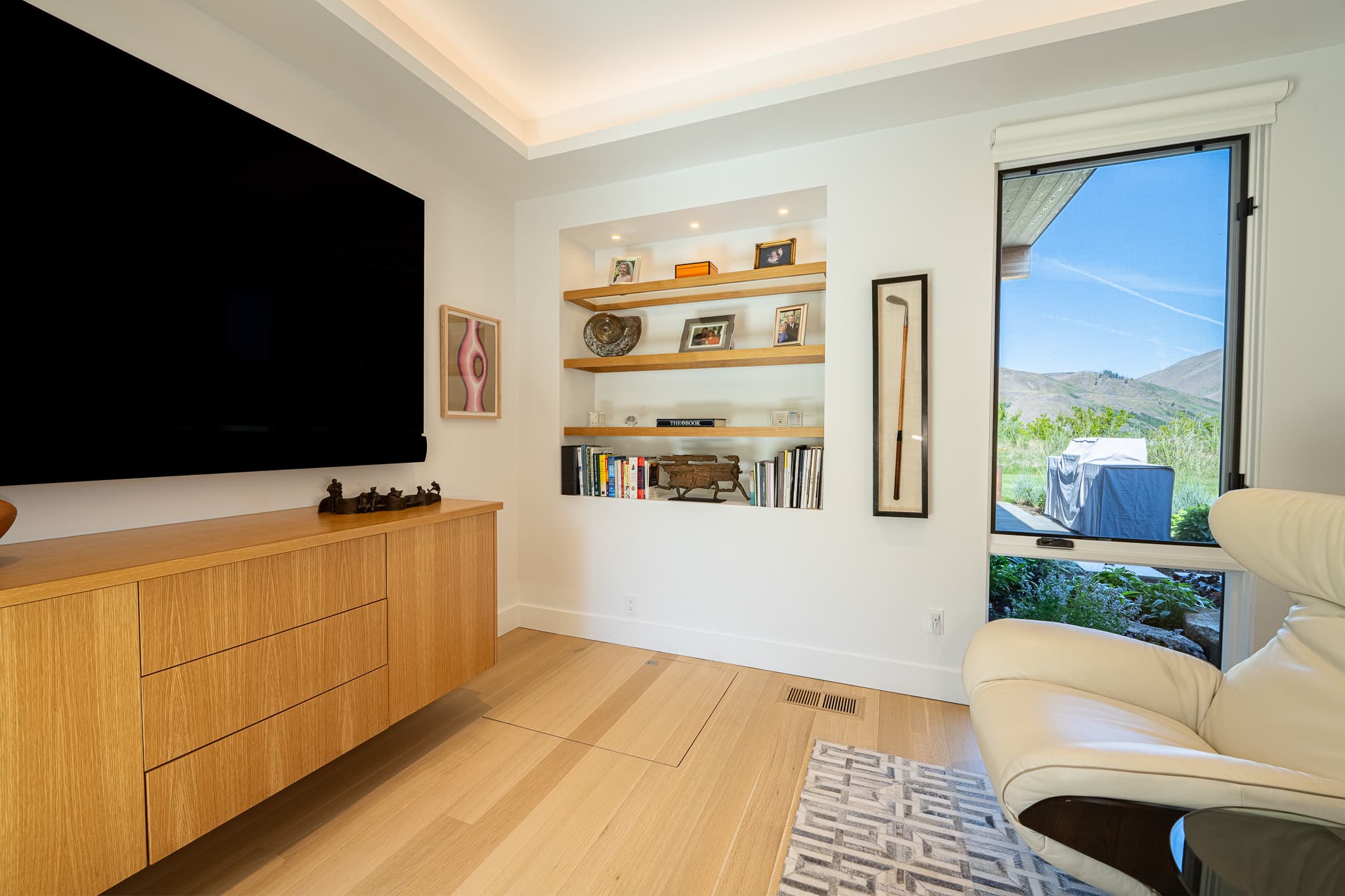 Media room den